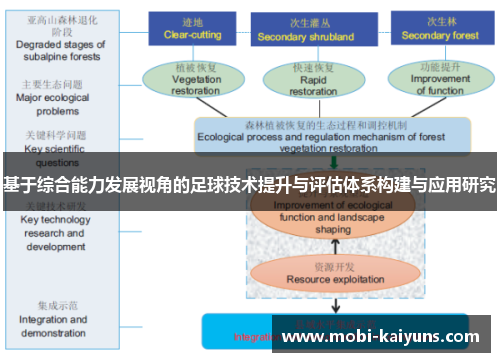 基于综合能力发展视角的足球技术提升与评估体系构建与应用研究