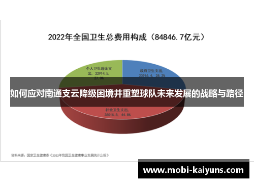 如何应对南通支云降级困境并重塑球队未来发展的战略与路径