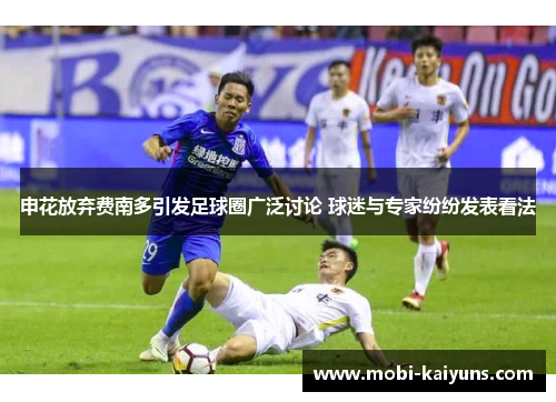 申花放弃费南多引发足球圈广泛讨论 球迷与专家纷纷发表看法
